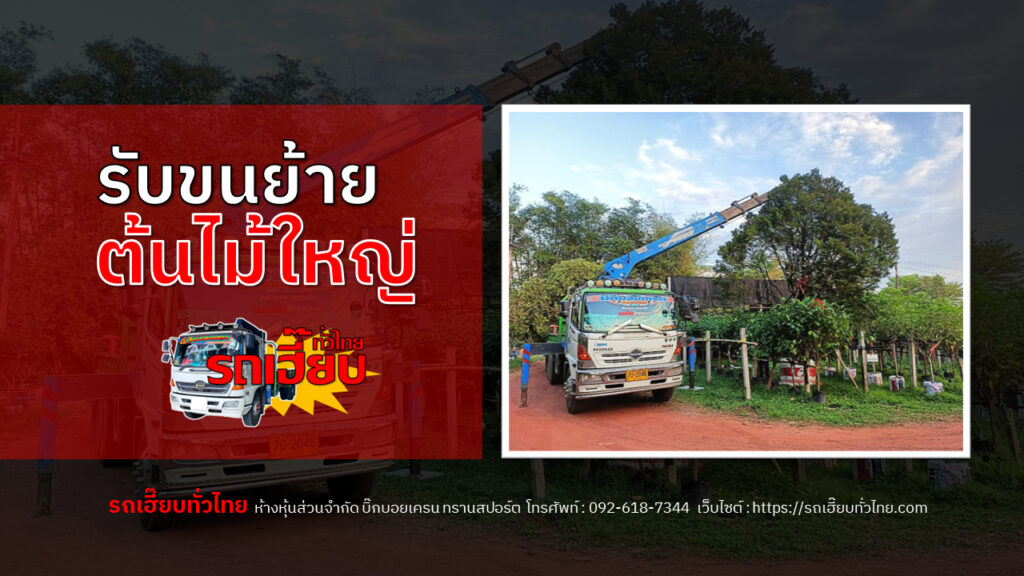 รับขนย้ายต้นไม้ใหญ่